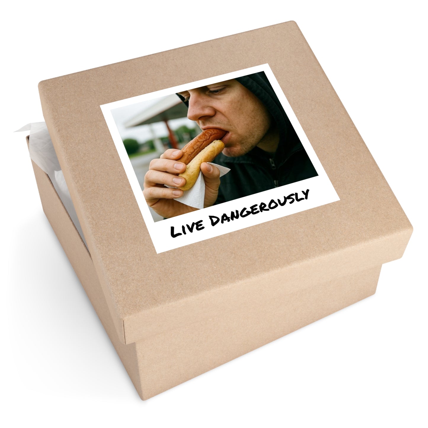 Live Dangerously - Square Stickers